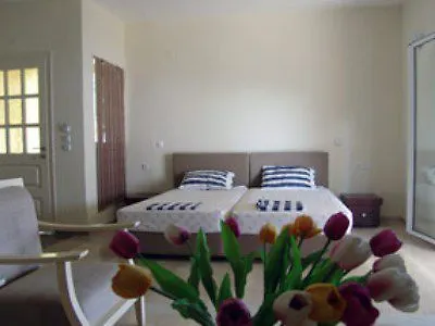 Отель Athina 4*
